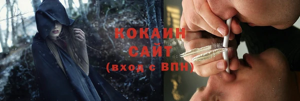 шишки Бородино