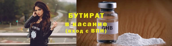 шишки Бородино
