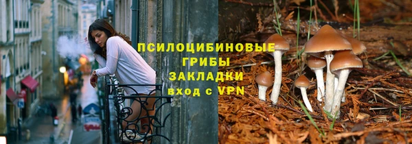дурь Бронницы