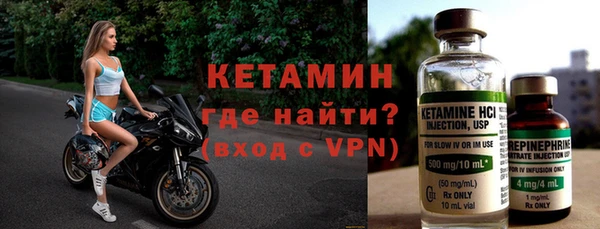 шишки Бородино