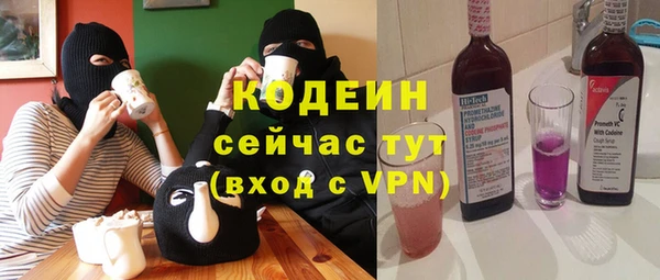 шишки Бородино