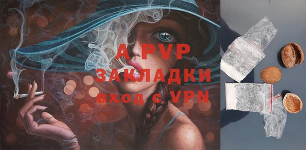 шишки Бородино