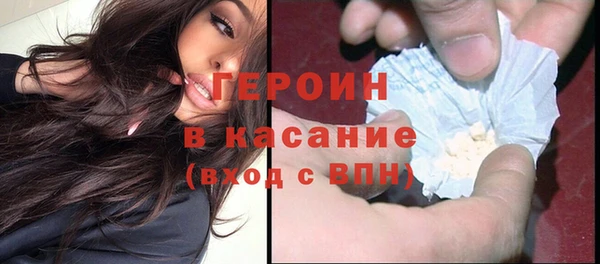 шишки Бородино