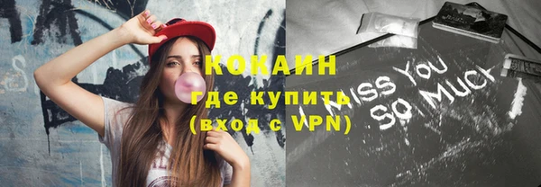 шишки Бородино