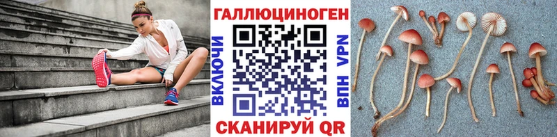 Галлюциногенные грибы Psilocybine cubensis маркетплейс телеграм Урюпинск